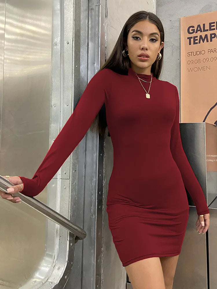 New Arrival Turtleneck Long Sleeve Skinny Mini Dress Sexy Skirt